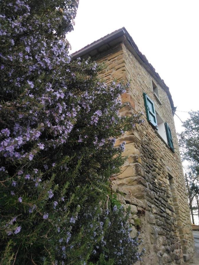 Castel del Rio Agriturismo Il Regno Del Marrone מראה חיצוני תמונה